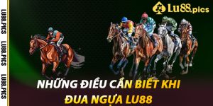 Những Điều Cần Biết Khi Đua Ngựa LU88