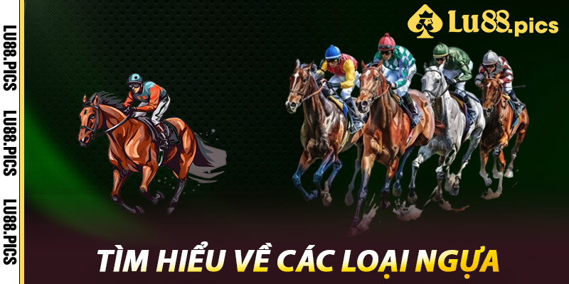 Đua Ngựa LU88 – Hội Tụ Đẳng Cấp Dân Chơi Đua Ngựa 2 Tìm Hiểu Về Các Loại Ngựa